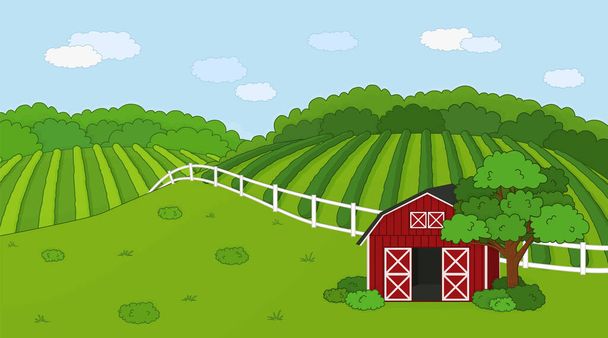 Verano o primavera granja doodle concepto en el campo. Dibujos animados vector lindo granero rojo con puertas abiertas, cerca blanca y nubes, campo verde, plantaciones plantadas, arbustos y plantas para la vida animal - Vector, Imagen