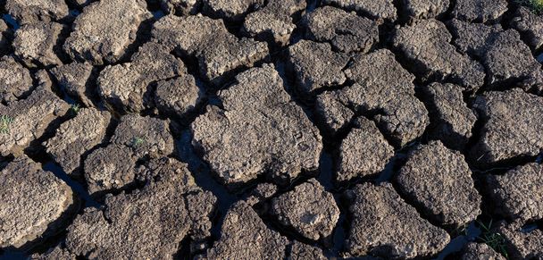 Die Erde brach aufgrund der Trockenheit auf. Die globale Wasserknappheit auf dem Planeten. Konzept der globalen Erwärmung. - Foto, Bild