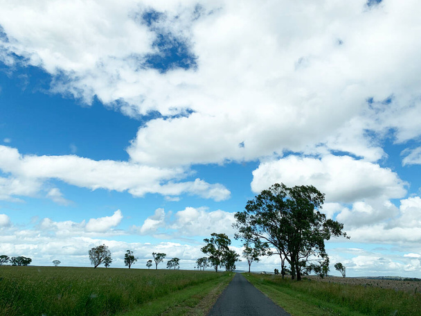 Вид на сільське місто Кліфтон Квінсленд, Австралія, з річкою, витоками та сільськогосподарськими угіддями. - Фото, зображення