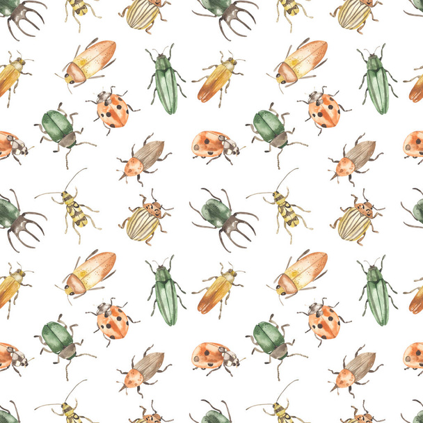 Escarabajos, escarabajo rinoceronte, mariquita, escarabajo colorado sobre fondo blanco. Patrón sin costura de acuarela - Foto, Imagen