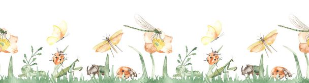 Комахи в траві, сонечко, манти, метелик, коник, бабка. Акварель безшовна рамка
 - Фото, зображення