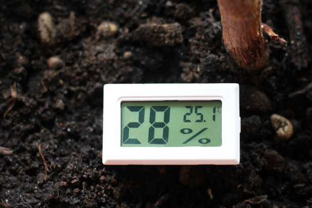 湿度と温度を測定する装置と植物がとても近い - 写真・画像