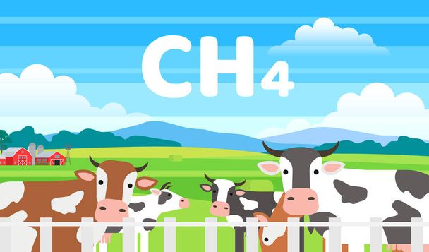 herd of cows in field emits methane ecology farming concept - Vector, Image