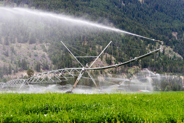 Centro pivot irrigazione attrezzature irrigazione un campo di erba medica a Kamloops, Columbia Britannica, Canada. - Foto, immagini