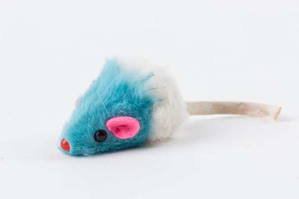 Игрушечная мышка для маленького котёнка на белом фоне
 - Фото, изображение