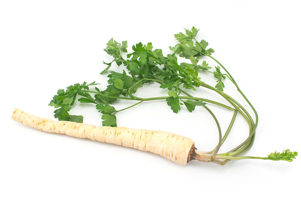 Fresh parsley with root and leaf on white - 写真・画像