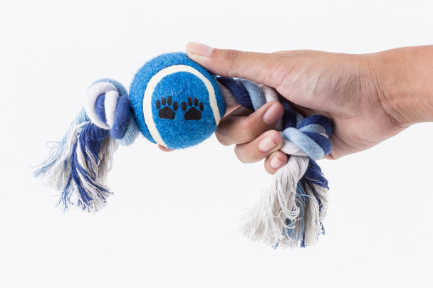 Toy ball for pets - Photo, Image