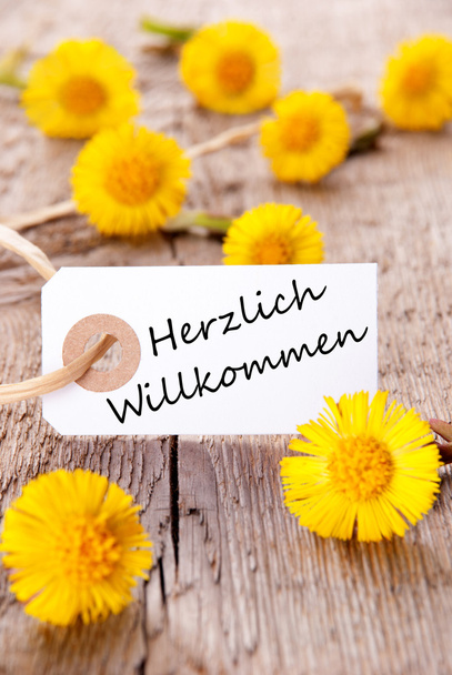 жовті квіти з herzlich willkommen - Фото, зображення