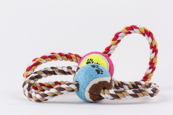 Іграшка для собак - барвиста бавовняна іграшка для собак на білому тлі
 - Фото, зображення