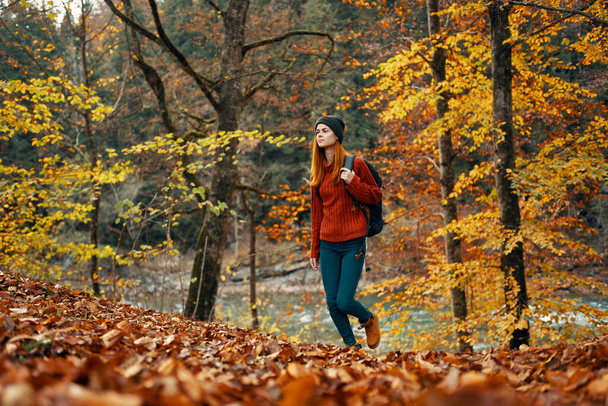 Touristin spaziert im Herbst mit Rucksack auf dem Rücken und hohen Bäumen durch den Park - Foto, Bild