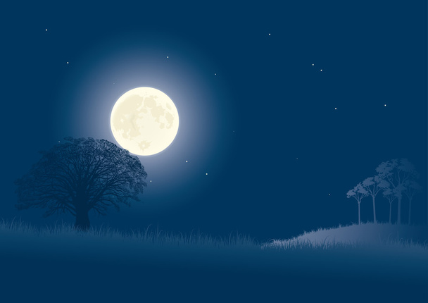 Moon night. - Vector, Image