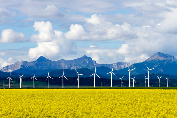 Windenergieanlage zur Stromerzeugung aus erneuerbaren Energien im Rapsfeld in der Nähe von Cowley und Pincher Creek, Alberta, Kanada. - Foto, Bild