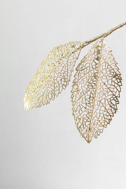 Decorative decoration of golden leaves on a white background. - 写真・画像