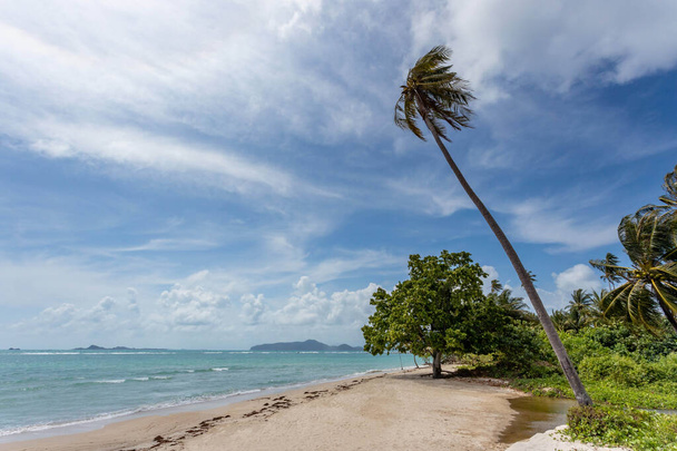 Vista mare dalla spiaggia tropicale con cielo soleggiato. Spiaggia paradiso estivo dell'isola di Koh Samui. Sulla riva tropicale. Mare tropicale in Thailandia. Spiaggia estiva esotica con nuvole all'orizzonte. Oceano spiaggia relax, viaggi all'aperto - Foto, immagini