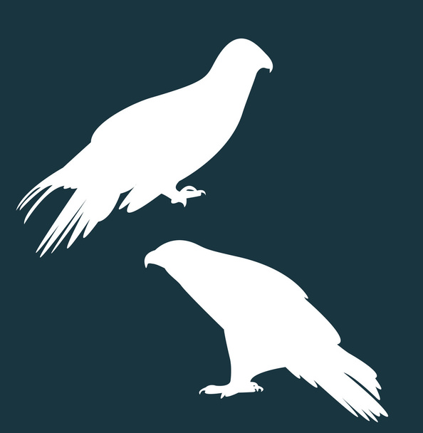 Ilustration du faucon
 - Vecteur, image
