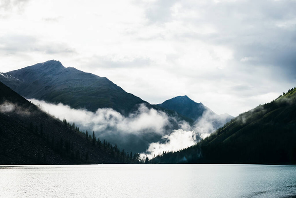 Спокойный альпийский пейзаж с горным озером рядом с хвойным лесом на фоне гигантских гор в пасмурную погоду. Большое низкое облако над хвойными деревьями. В основном облачно в горах. Фирсы над водой - Фото, изображение