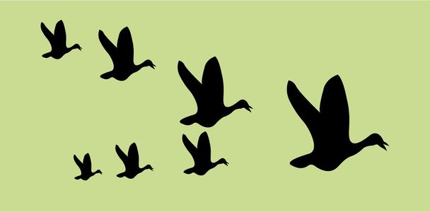 Aves voadoras
 - Vetor, Imagem