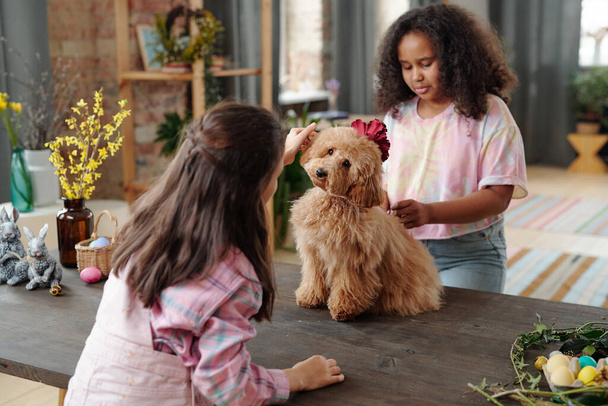 Two adorable intercultural little girls in casualwear playing with fluffy pet while standing by wooden table in living-room and preparing for Easter - Foto, Imagem