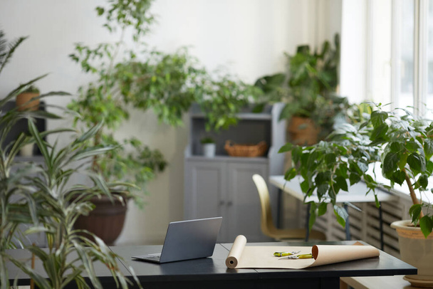 Immagine di sfondo di interni ufficio minimale decorato con molte piante verdi, aranciata e concetto fiorista, spazio copia - Foto, immagini
