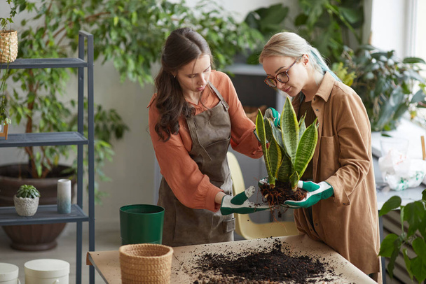 Portrait of two female florists potting plants while working in flower shop or gardening together, copy space - Photo, Image