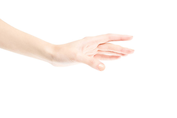 Női kéz elszigetelt fehér háttérrel. Fehér nő keze szimbólumokat és gesztusokat mutat. Lazított kéz - Fotó, kép