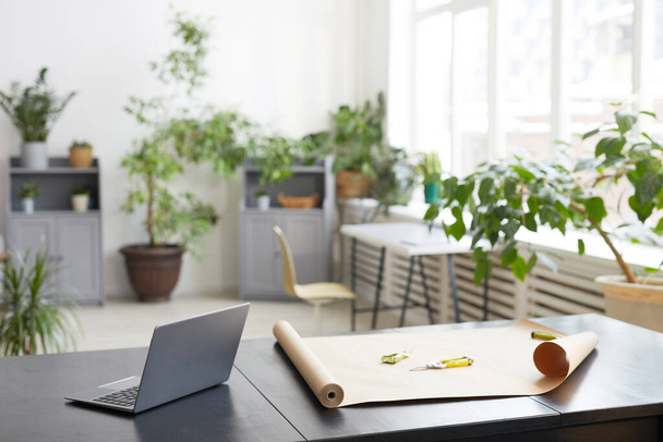 Achtergrond beeld van leeg kantoorinterieur versierd met groene planten, bloemisten werkplek concept, kopieerruimte - Foto, afbeelding