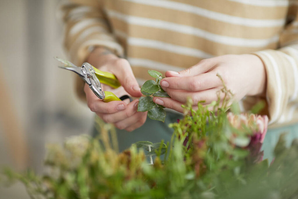 Close up of female florist cutting plants while arranging floral compositions in workshop, copy space - Фото, изображение