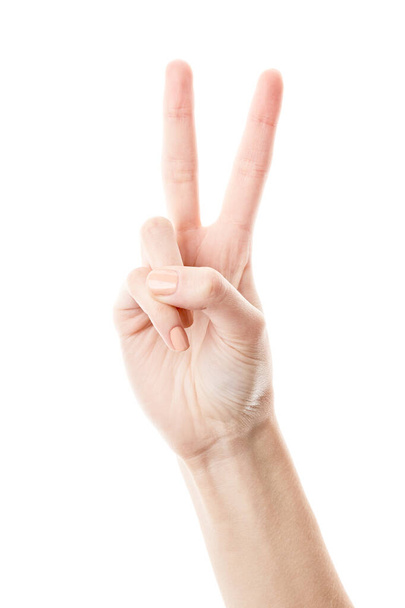 Nainen käsi eristetty valkoisella taustalla. Valkoisen naisen käsi osoittaa symboleja ja eleitä. Kädet kaksi sormea ylös rauhan tai voiton symboli. Allekirjoita kirje - Valokuva, kuva