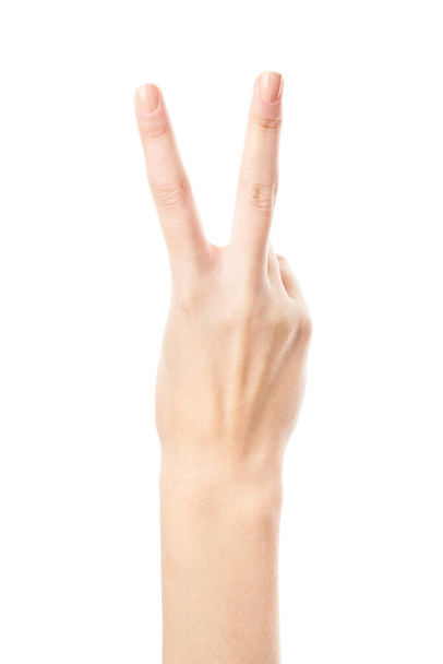 Kobieta ręka pokazuje numery izolowane na białym tle. Język migowy. Liczby ręczne - Zdjęcie, obraz
