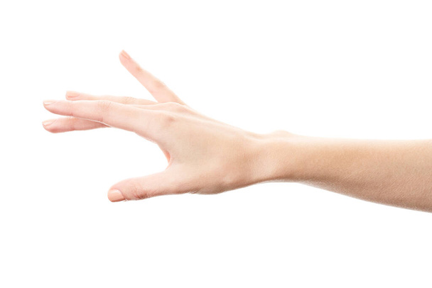 Γυναικείο χέρι απομονωμένο σε λευκό φόντο. Το χέρι της λευκής γυναίκας δείχνει σύμβολα και χειρονομίες. Παλάμη - Φωτογραφία, εικόνα