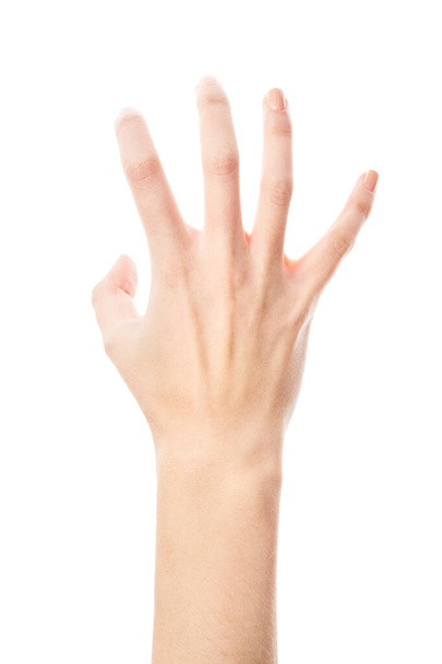 Női kéz elszigetelt fehér háttérrel. Fehér nő keze szimbólumokat és gesztusokat mutat. Pálma - Fotó, kép