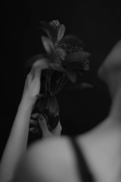 details of the body and the branch of the plant, fuzzy and delicate film black and white photo - Φωτογραφία, εικόνα