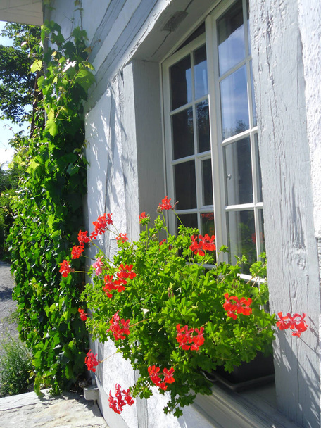 παράθυρα αγροικίας με κόκκινα λουλούδια στην Ελβετία - Φωτογραφία, εικόνα