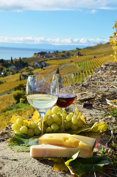 két wineglasses, a sajt és a szőlő - Fotó, kép