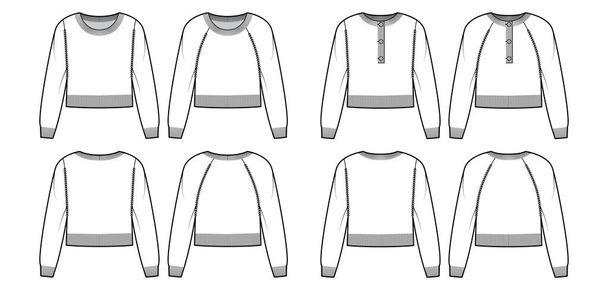 Conjunto de corte redondo henley pescoço camisolas técnica moda ilustração com mangas raglan, comprimento da cintura, tricô guarnição - Vetor, Imagem