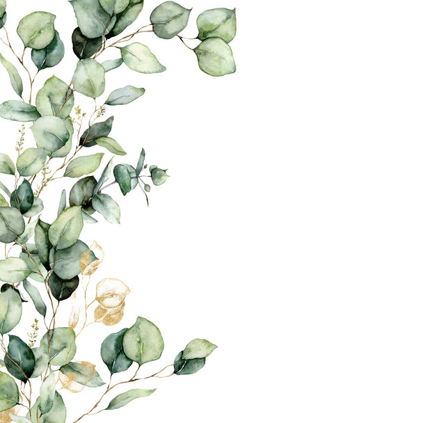 Ohraničení akvarelů ze zelených a zlatých eukalyptů. Ručně malované karty rostlin izolovaných na bílém pozadí. Květinová ilustrace pro design, tisk, tkaniny nebo pozadí. - Fotografie, Obrázek