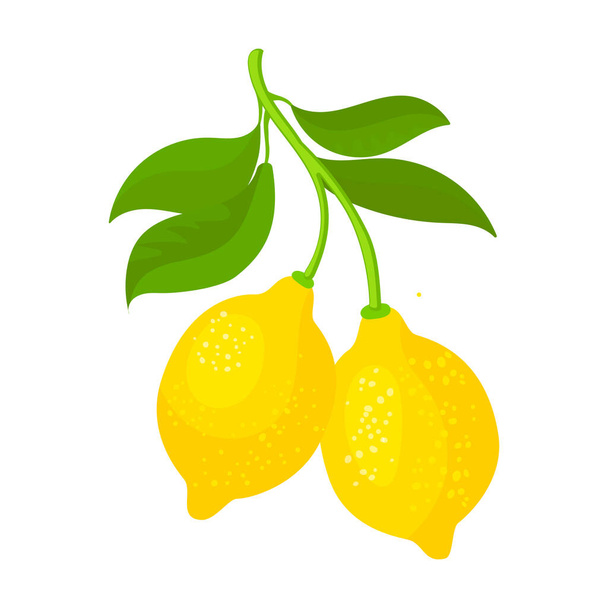 Lemon Vektor icon.Cartoon Vektor Symbol isoliert auf weißem Hintergrund Zitrone. - Vektor, Bild