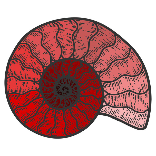Cefalópodos Nautilus. Imitación del sketch scratch board. Color rojo sombra. - Vector, imagen