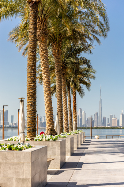 Dubai Creek Limanı 'nda sıra sıra hurma ağaçları ve arka planda Dubai şehir merkezi silüeti var.. - Fotoğraf, Görsel