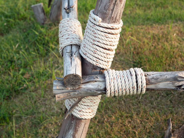 Binden eines Seils, um den Baumstamm zu halten, um Wind oder Sturm zu verhindern. - Foto, Bild
