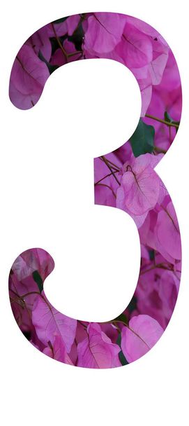 3 - NUMBER THREE - ізольовано на білому тлі - частина алфавіту, встановленого, вирізаного з фотографій свіжих букетів і зовнішніх квітів
 - Фото, зображення