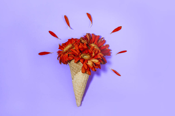 waffle cone with orange-red gerberas on a lilac background. Creative minimalism. - Фото, зображення