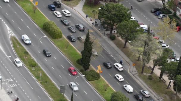 légi kilátás a főutcára Madridban forgalmas forgalommal, fák között sávok. Paseo de la Castellana-ban. - Felvétel, videó