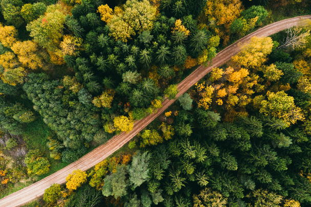 Estrada na floresta de outono vista aérea. Amarelo e árvores verdes - Foto, Imagem