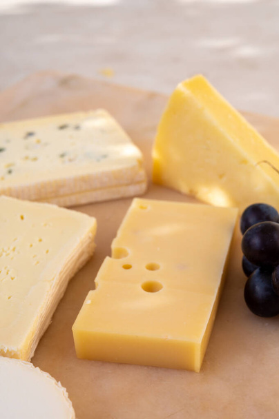 Коллекция французского сыра на мраморной доске, эмменталь, carre de aurillac, petit cantal AOP Jeune, buche chevre and brie - Фото, изображение