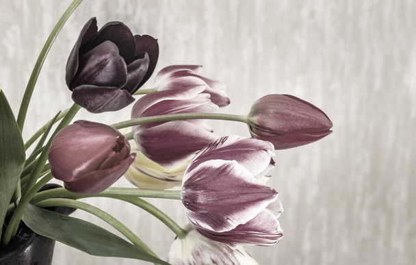 Un bouquet de belles tulipes rouges, roses et jaunes dans un vase en céramique. Présenté en gros plan. Vue de face, espace de copie. - Photo, image