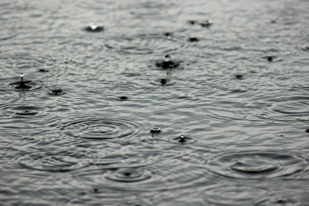 Duże krople deszczu wpadające w kałuże. pochmurne, deszczowe krople deszczu wpadające do kałuży. pochmurny, deszczowy dzień. - Zdjęcie, obraz