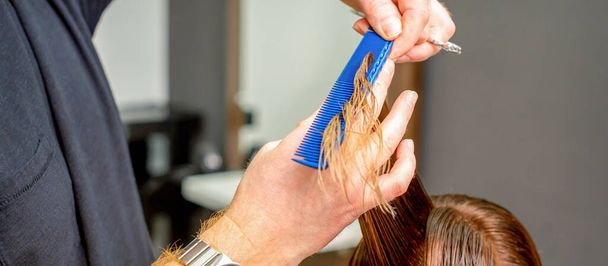 Ręce fryzjera z grzebieniem i nożyczkami obcinają mokre kobiece włosy w salonie fryzjerskim - Zdjęcie, obraz