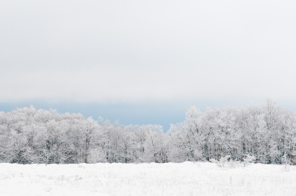 Krajobraz zimowy - Zdjęcie, obraz