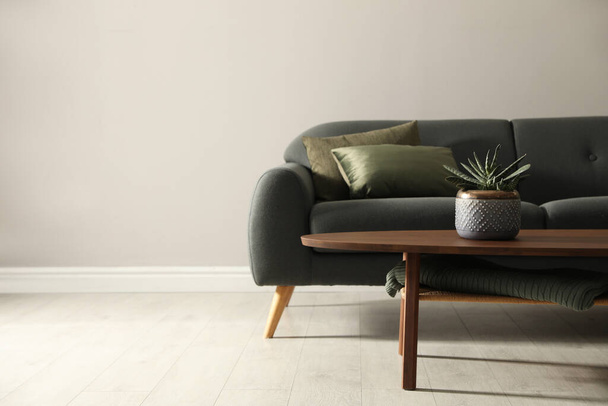 Stylish comfortable sofa in room, space for text. Interior design - Valokuva, kuva